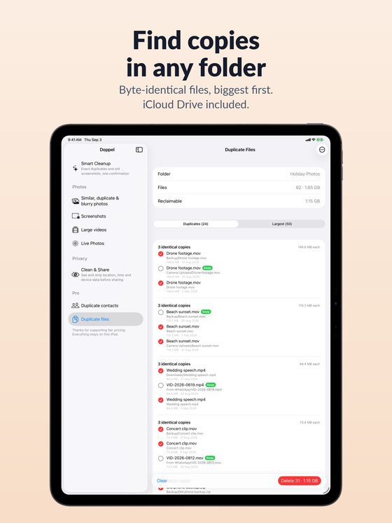 Doppel iPad duplicate files view